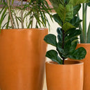 Kit 3 Vasos Para Plantas e Decoração Linha Pequim - foto 2