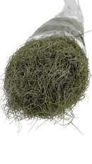 Musgo Barba de Velho Seco 400 g