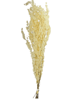 Buquê de Eucalipto Alvejado 70 cm