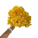 Buquê Brinco de Princesa Desidratado Amarelo