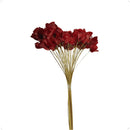 Buquê Brinco de Princesa Desidratado Vermelho - foto 2