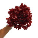 Buquê Brinco de Princesa Desidratado Vermelho