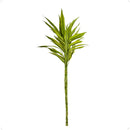 Bambu da Sorte Variegata Amarelo 4 Hastes - foto 2