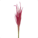 Buquê de Napier Desidratado Rosa - foto 3