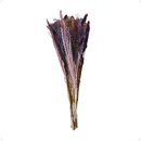 Buquê de Flores Desidratadas Lilás 60 cm
