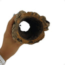 Casca Oca de Madeira Natural 20 cm para Terrário - foto 2