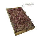 Caixa de Musgo Rosa para Terrário e Kokedama - foto 3