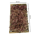 Caixa de Musgo Rosa para Terrário e Kokedama - foto 2