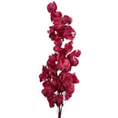 Buquê de Bougainville Vermelha Desidratada - foto 2