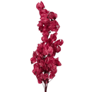 Buquê de Bougainville Vermelha Desidratada