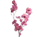 Buquê de Bougainville Rosa Claro Desidratada