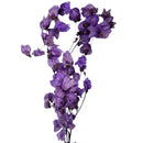 Buquê de Bougainville Lilás Desidratada - foto 3