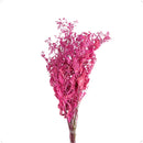 Buquê Dedo-de-Anjo Rosa Desidratado
