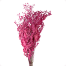 Buquê Dedo-de-Anjo Rosa Desidratado - foto 3