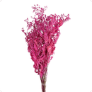 Buquê Dedo-de-Anjo Rosa Desidratado - foto 2