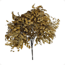 Buquê de Avenca Desidratada Laranja Terracota