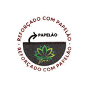 Espuma Floral Placa Master Caixa com 6 - foto 3