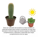 Cacto Mammillaria Spinosissima Pote 15 - foto 3