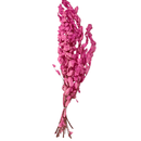 Buquê de Eucalipto Rosa Desidratado 65cm