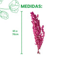 Buquê de Eucalipto Rosa Desidratado 65cm - foto 2