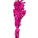 Buquê de Eucalipto Pink Desidratado 65cm