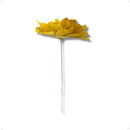 Flor de Folha Quina Desidratada Amarela - foto 3