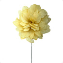 Flor de Folha Quina Desidratada Alvejada