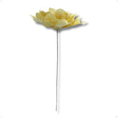 Flor de Folha Quina Desidratada Alvejada - foto 3