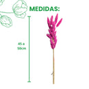 Buquê Rabo-de-Coelho Rosa Desidratado - foto 2