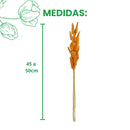 Buquê Rabo-de-Coelho Laranja Desidratado - foto 2