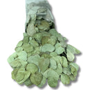 Kit 3 Pacotes de Folhas de Eucalipto Desidratadas - foto 3