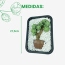 Bonsai de Suculenta Deitado Natural - foto 2