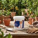 Adubo Para Frutas Fertilizante Avena 400g - foto 2