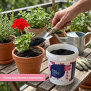 Adubo Para Flores Fertilizante Avena 400g - foto 3