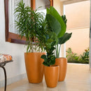 Kit 3 Vasos Para Plantas e Decoração Linha Pequim