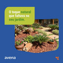 Casca de Pinus Polida Para Jardim e Paisagismo Avena 5L - foto 2