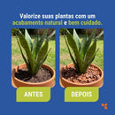 Casca de Pinus Polida Para Jardim e Paisagismo Avena 5L - foto 3