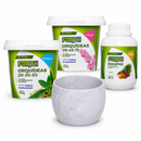 Kit Orquídea Manutenção, Floração e Enxofre