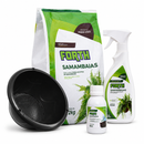 Kit Samambaia com Cuia e Substrato