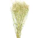 Buquê Gypsophila Mosquitinho Branco Desidratado