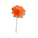 Flor de Folha Quina Desidratada Laranja