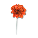 Flor de Folha Quina Desidratada Laranja - foto 2