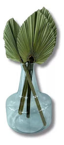 Arranjo Vaso Garrafa Passione com Mini Latânia