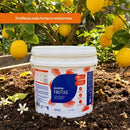 Adubo Para Frutas Fertilizante Avena 3kg - foto 3
