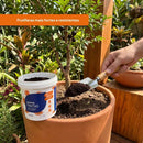 Adubo Para Frutas Fertilizante Avena 400g - foto 3