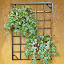 Painel de Ferro para Jardim Vertical - foto 3