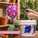 Adubo Para Flores Fertilizante Avena 3kg - foto 3