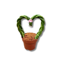 Sansevieria Trançada Coração Natural