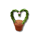 Sansevieria Trançada Coração Natural - foto 2