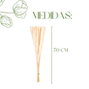 Mini Pampas Pluma Grass Desidratado 70cm